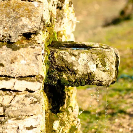 Quinta Do Chaozinho * Alijó