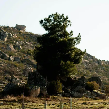 Quinta Do Chaozinho Alijó