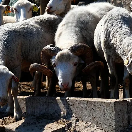 Quinta Do Chaozinho * Alijó