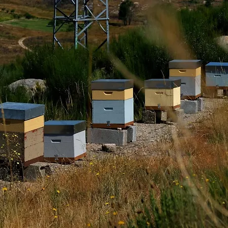 Quinta Do Chaozinho シャレー *