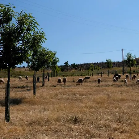 Quinta Do Chaozinho Alijó