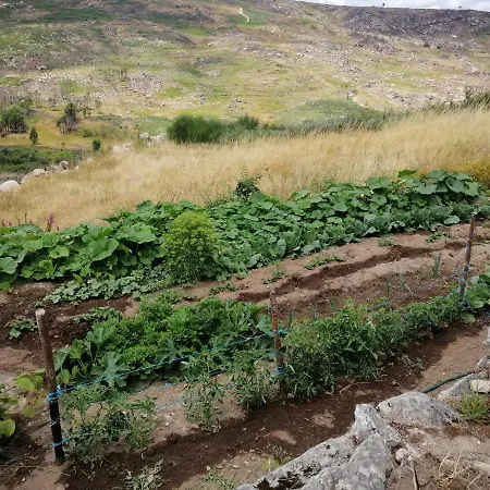 Quinta Do Chaozinho Alijó