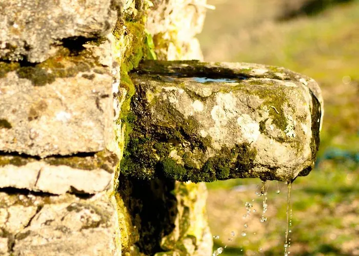 Quinta Do Chaozinho * Alijó