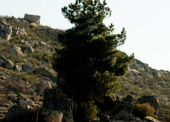Quinta Do Chaozinho Alijó