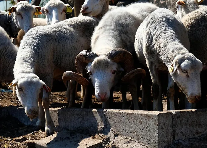 Quinta Do Chaozinho * Alijó