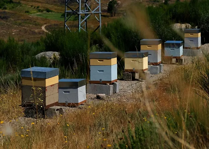 Quinta Do Chaozinho シャレー *