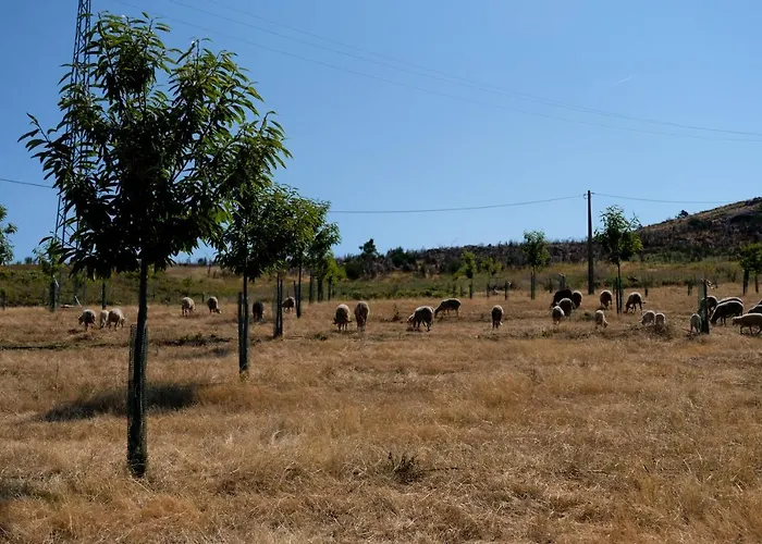 Quinta Do Chaozinho Alijo