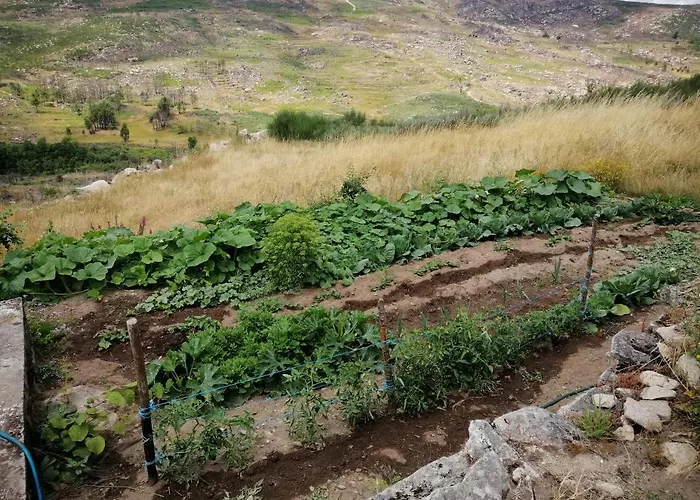 Quinta Do Chaozinho Alijó
